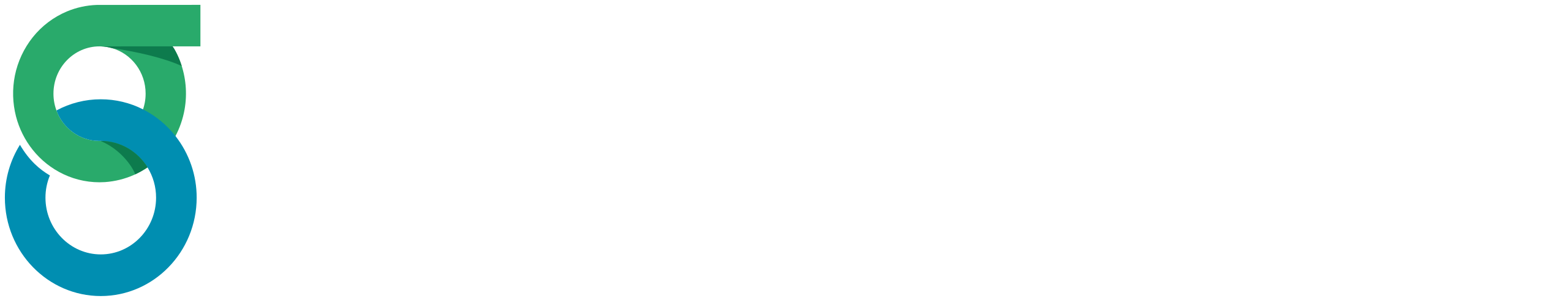 Guardian_Insurance_logo-white